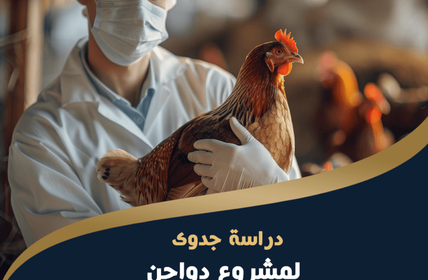 دراسة جدوي مشروع دواجن لاحم