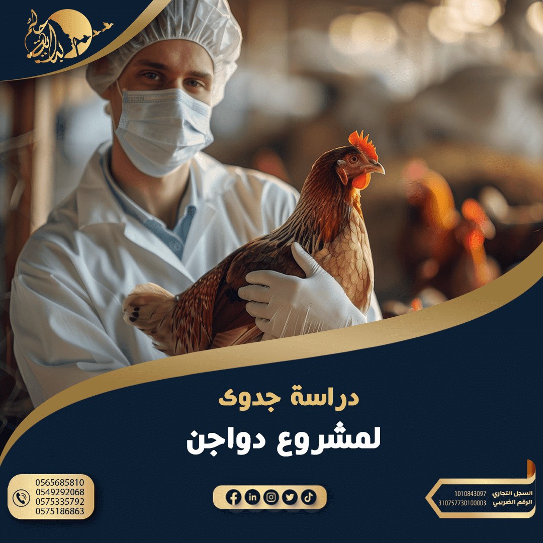 دراسة جدوي مشروع دواجن لاحم